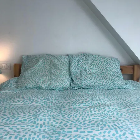 Au Pied Du Télécabine, T3 50m2 Pour 8 Personnes. * Cauterets